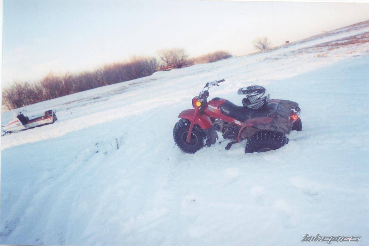 Bike Photo 528281