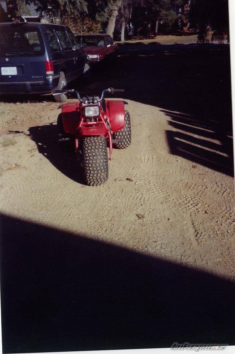 Bike Photo 528285