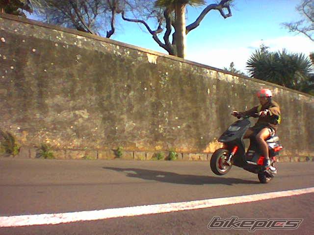 Photo 528591