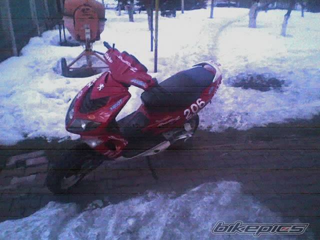 Photo 528727