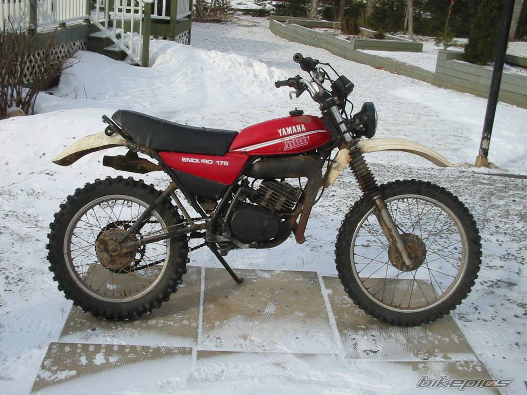 Bike Photo 528739