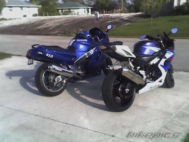Photo 528944