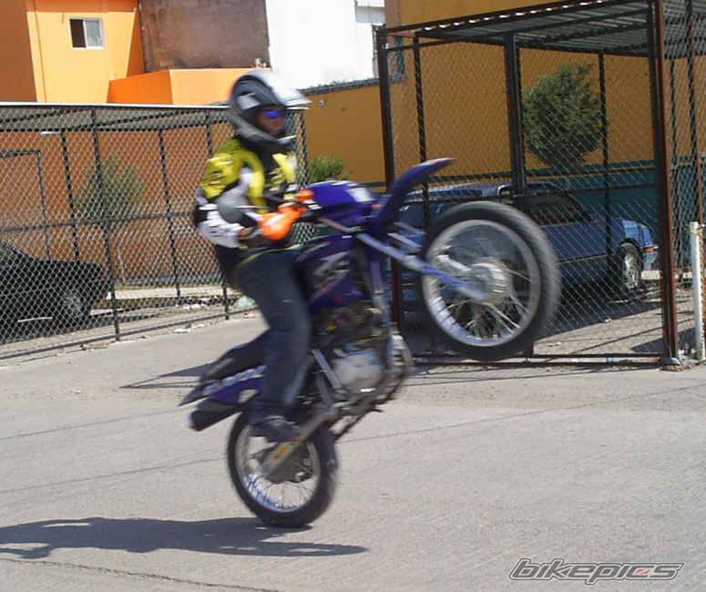 Photo 528954