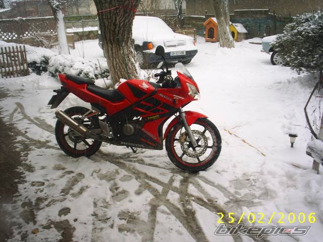 Photo 528979