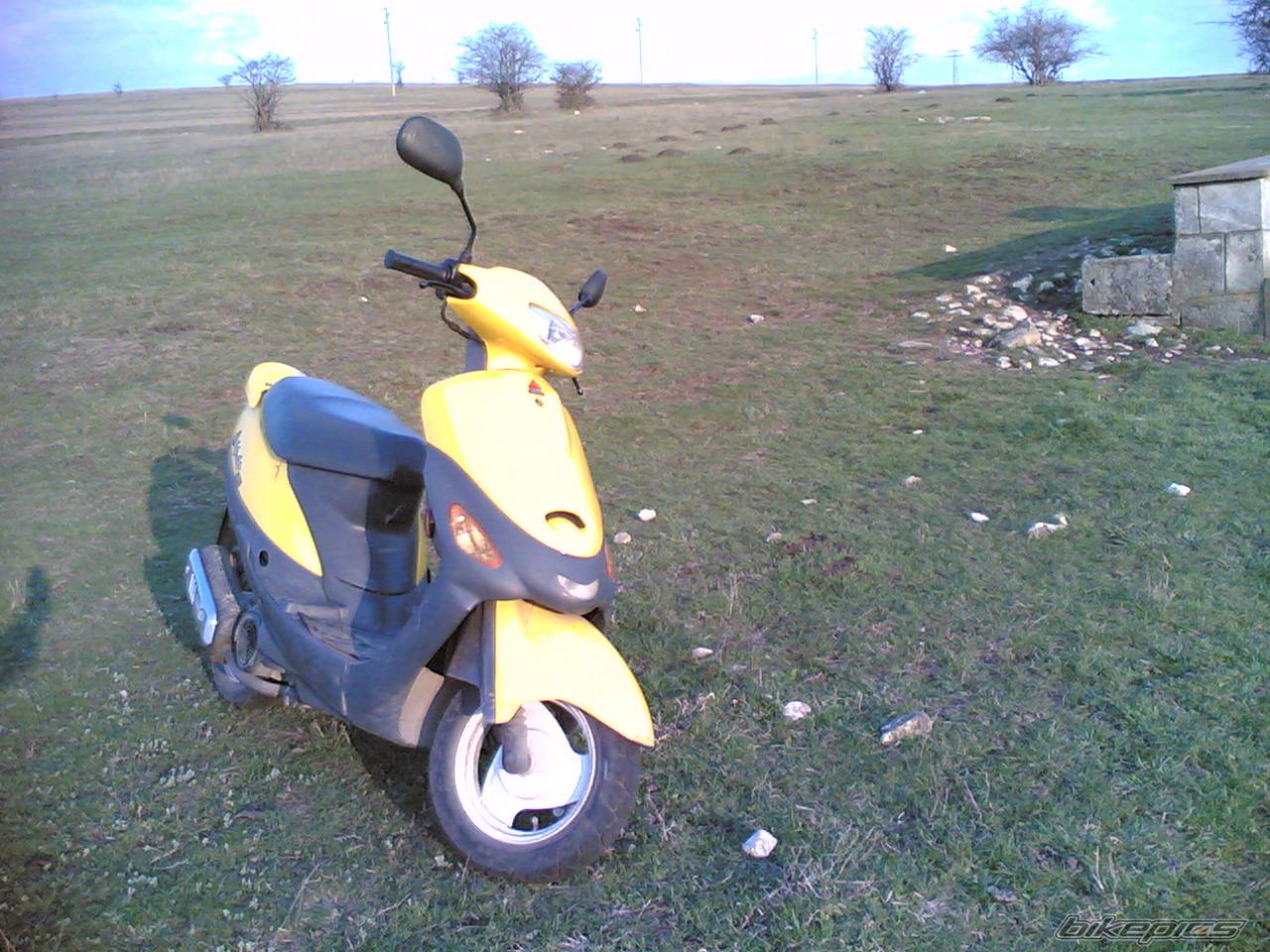 Photo 529120