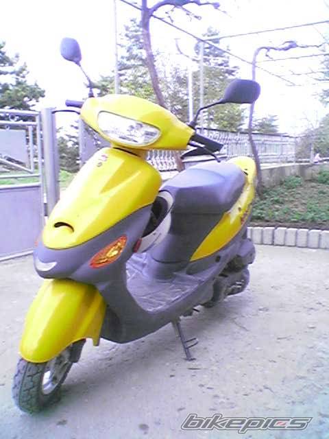 Photo 529133