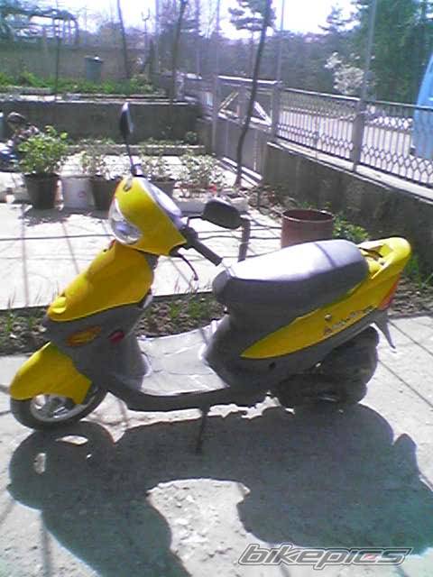 Photo 529134