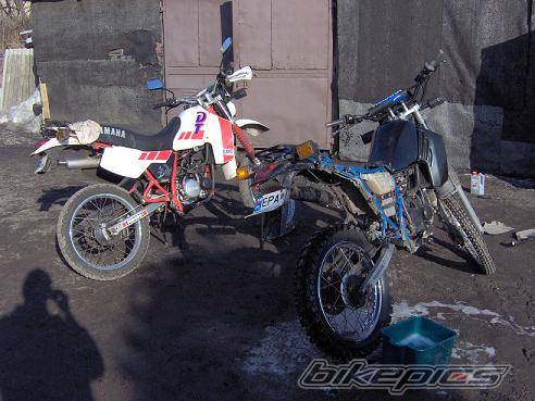 Bike Photo 529420