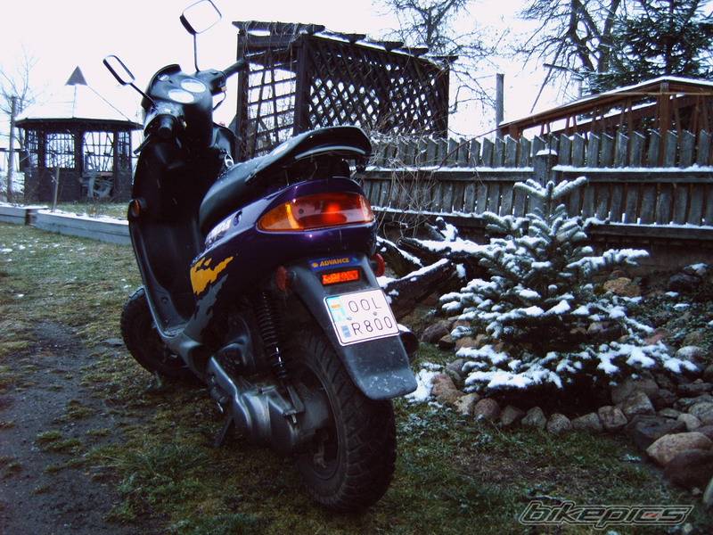Photo 529722
