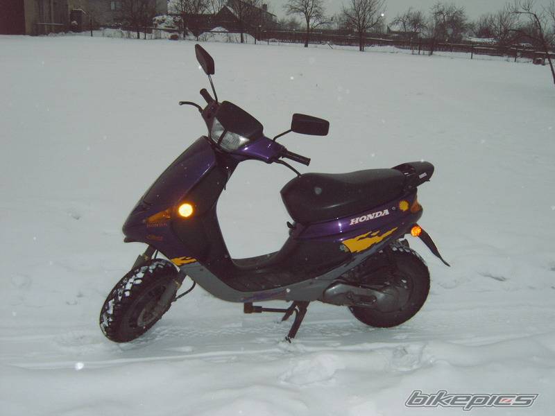 Photo 529741