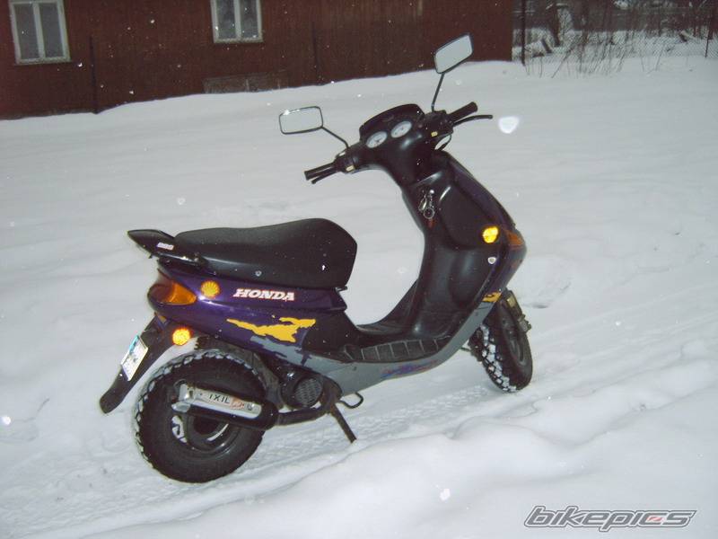 Photo 529744