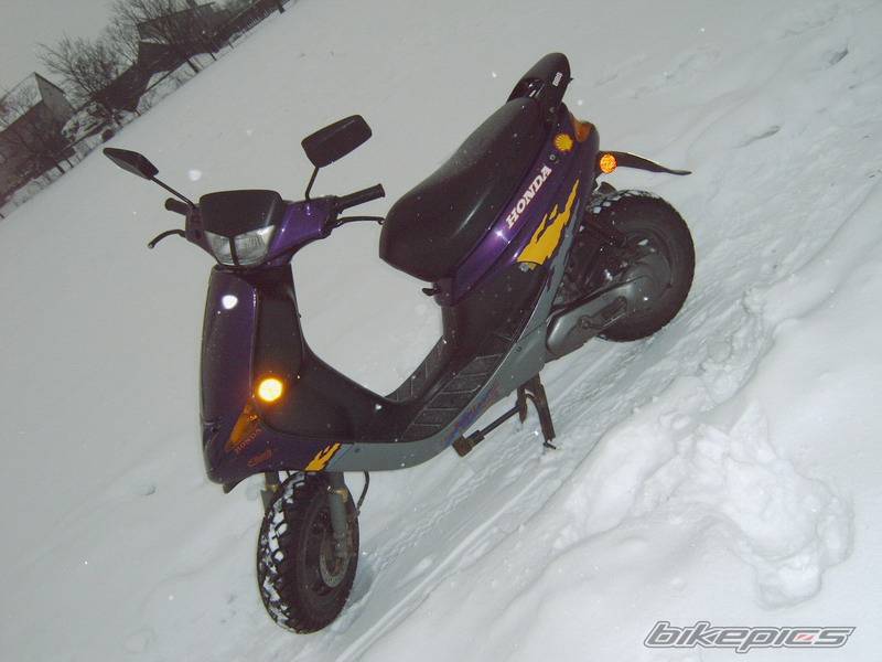 Photo 529753
