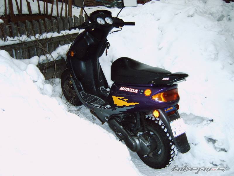 Photo 529754