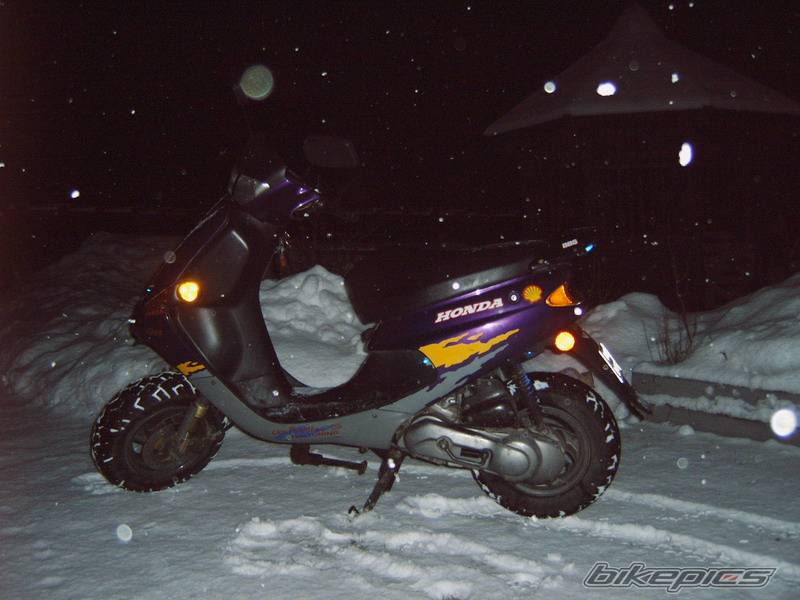 Photo 529759