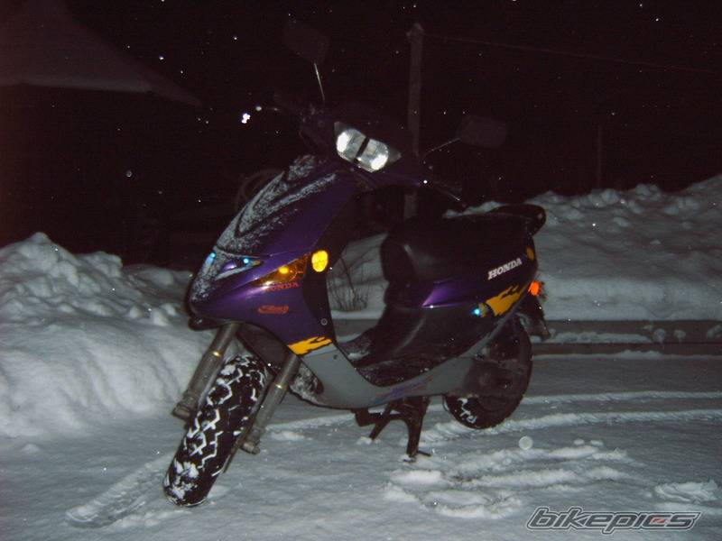 Photo 529760