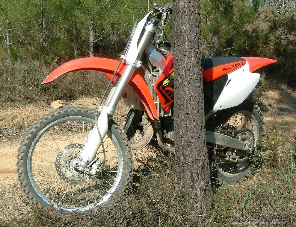 Bike Photo 529761
