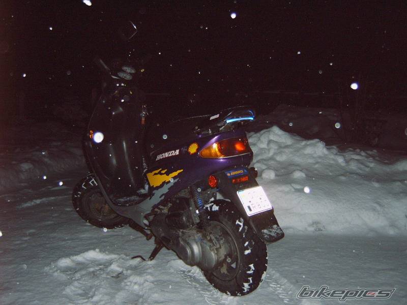 Photo 529769
