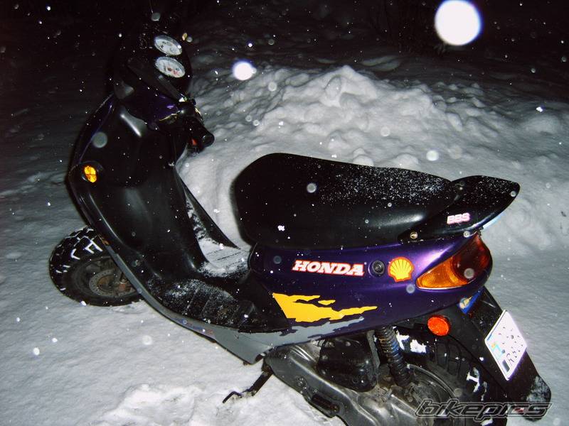 Photo 529771