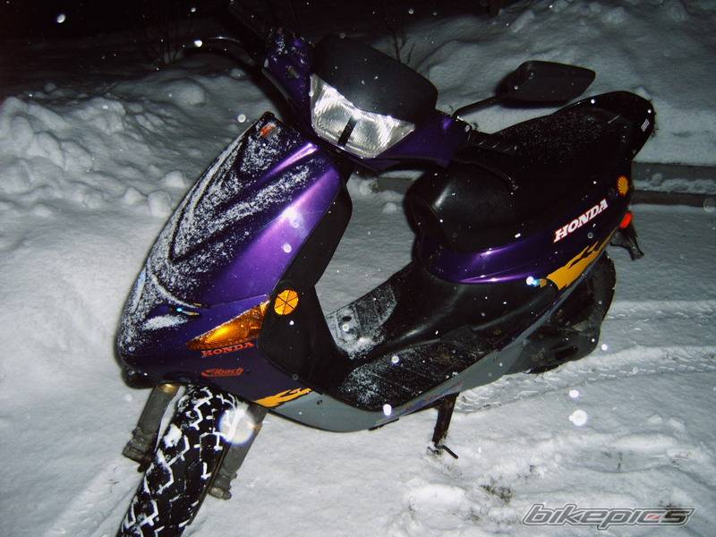 Photo 529772