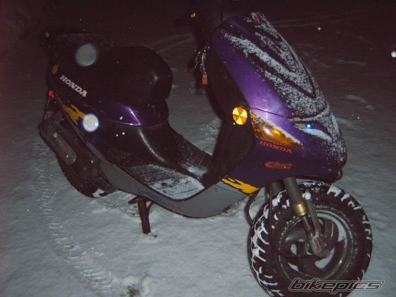 Photo 529775