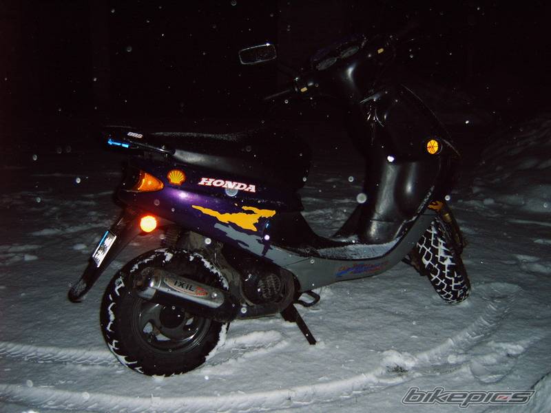 Photo 529777