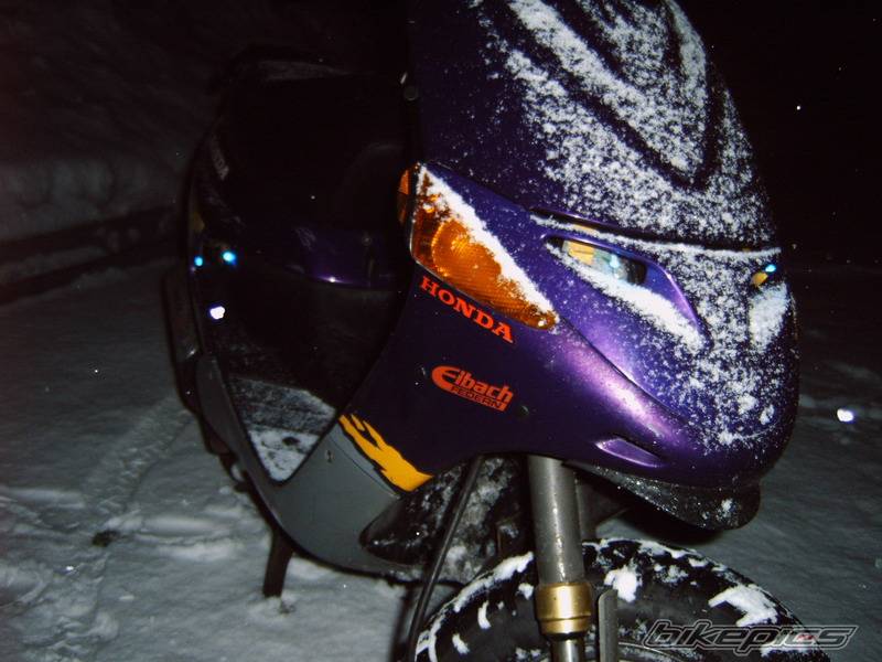 Photo 529783