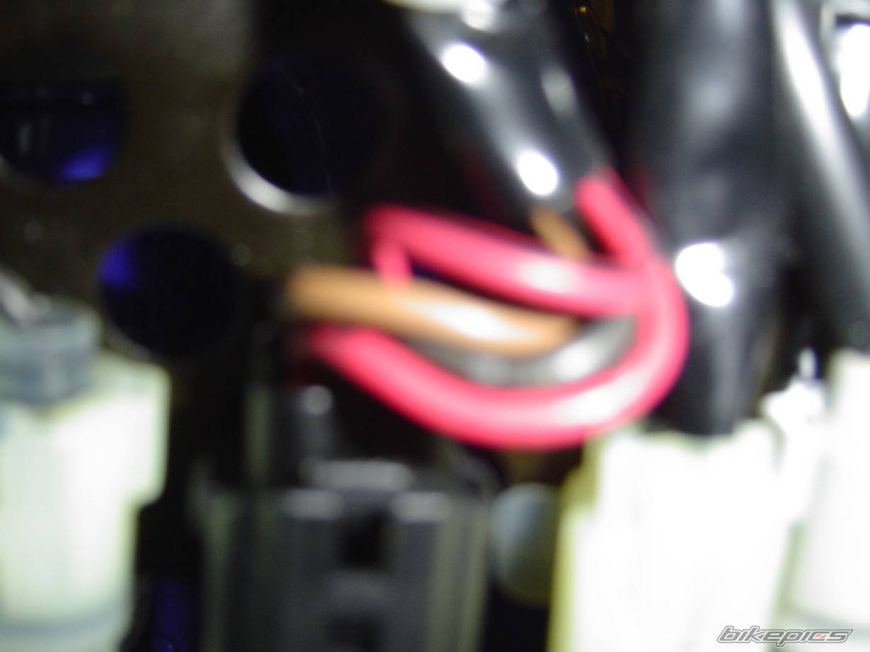 Photo 529886