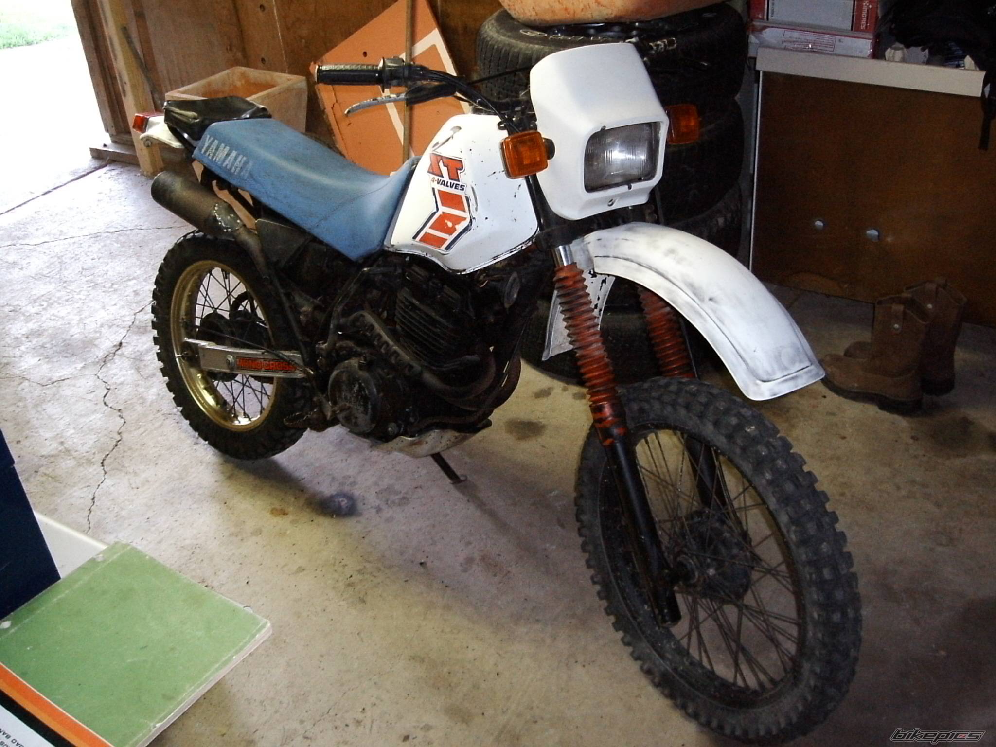 Photo 529996