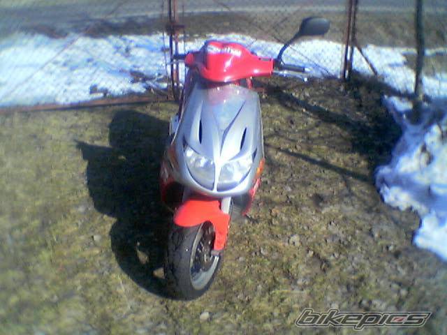 Photo 530052