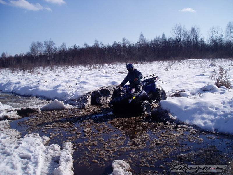 Photo 530521