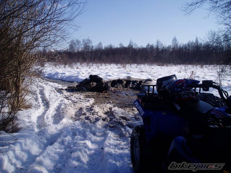 Photo 530527