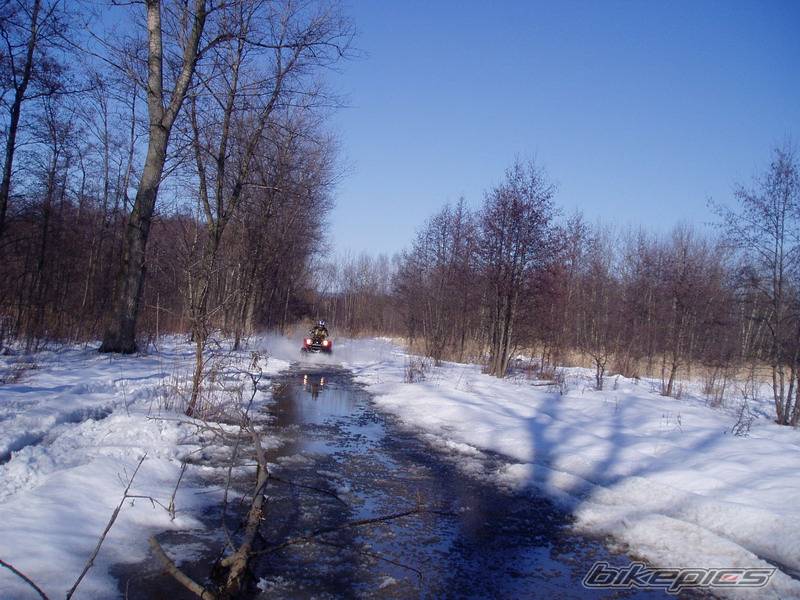 Photo 530531