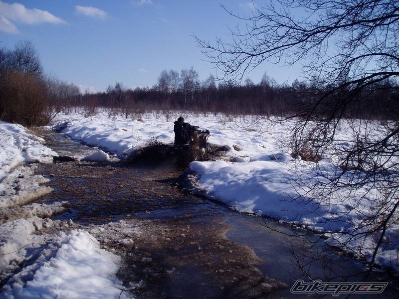 Photo 530548