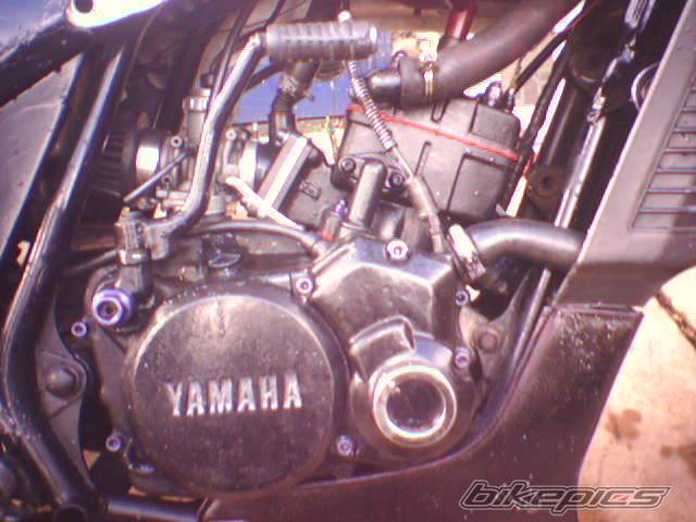 Bike Photo 530744