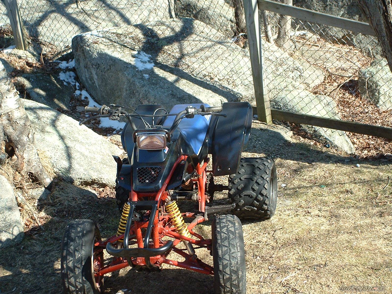 Photo 530751