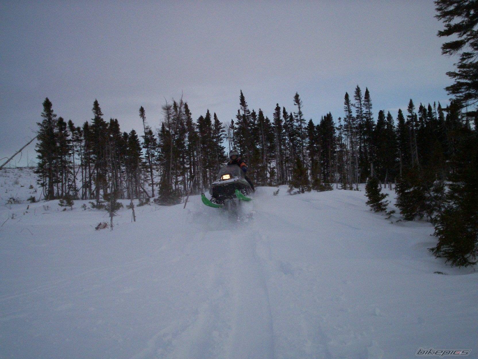 Photo 530774