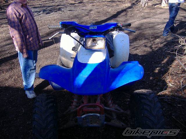 Photo 530833
