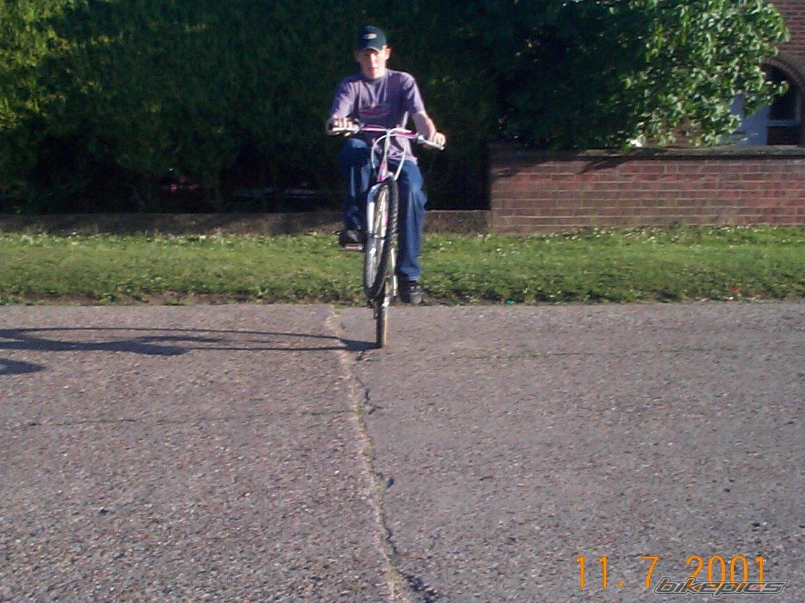 Photo 5312