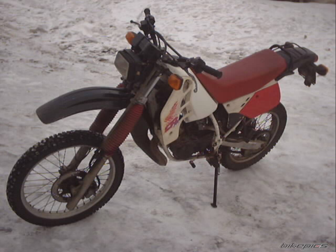 Bike Photo 531919
