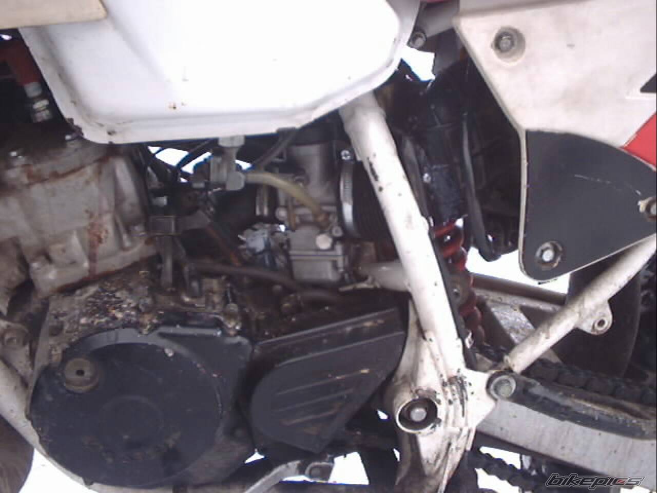 Bike Photo 531934