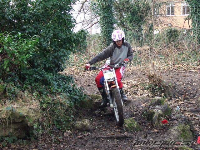 Photo 532080