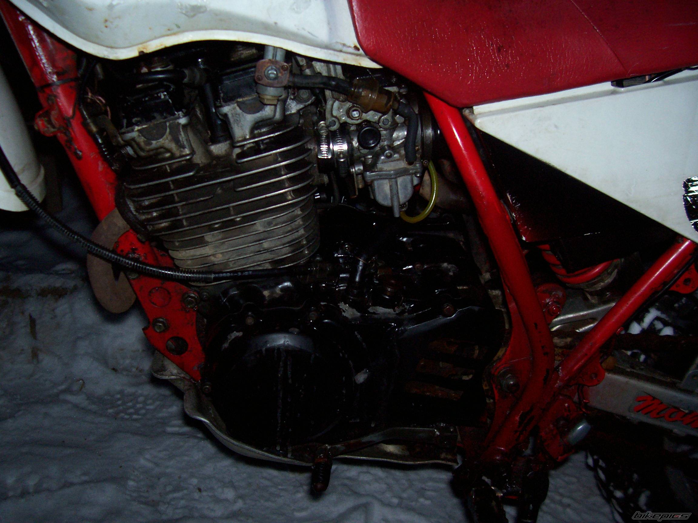 Bike Photo 532154