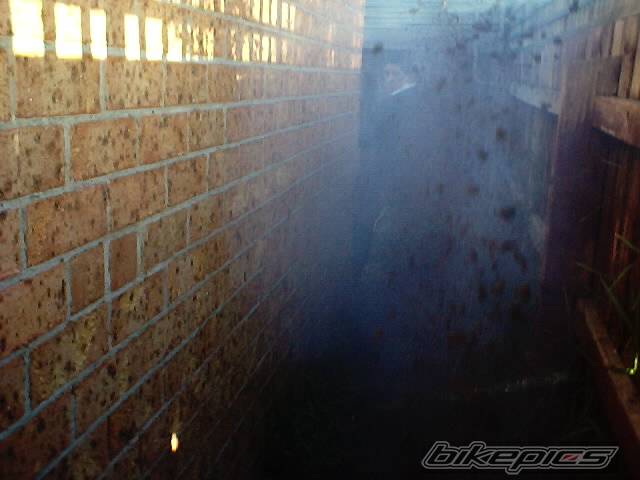 Photo 53231