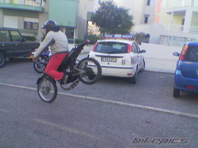 Photo 532438