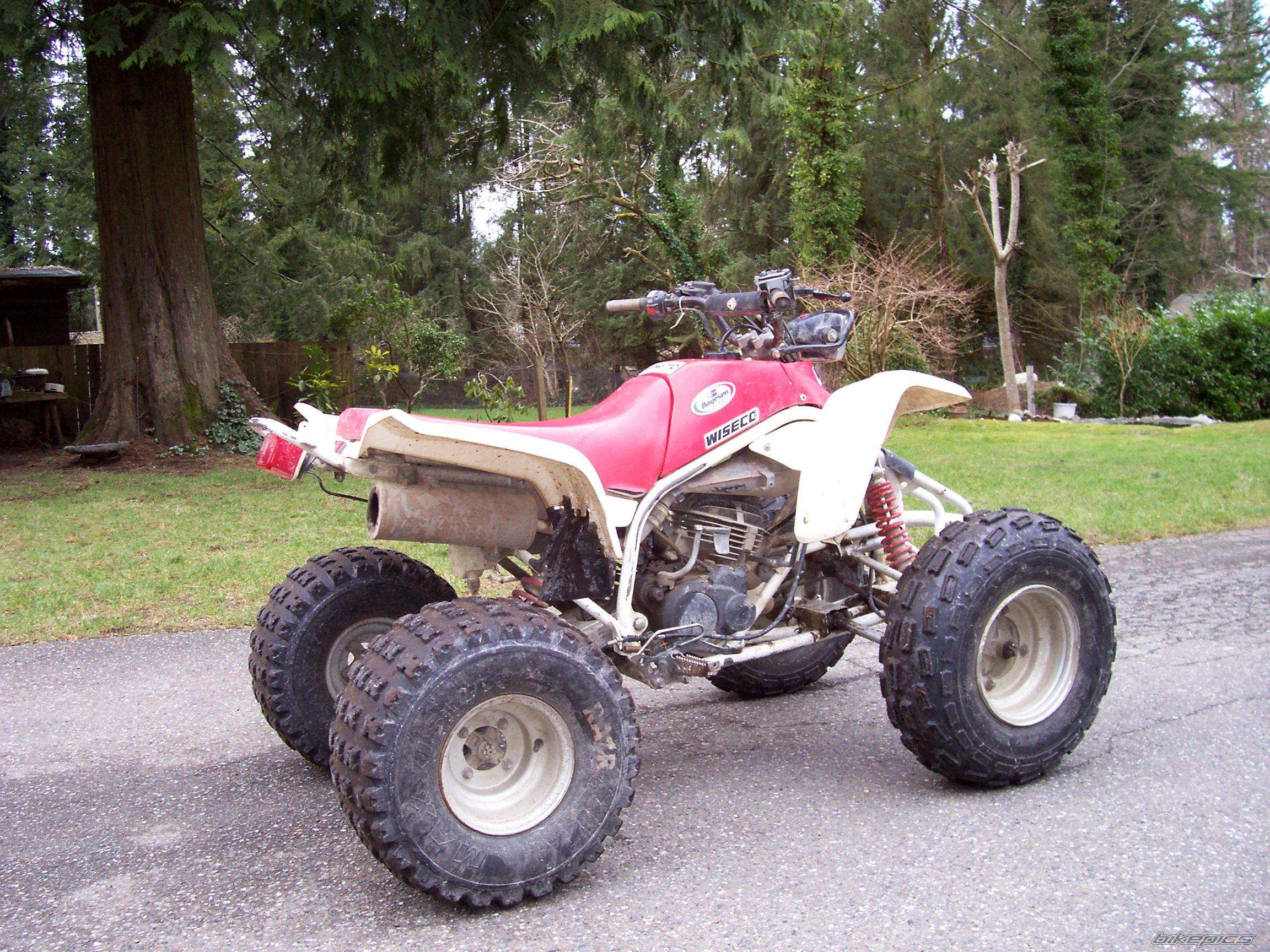 Bike Photo 532648
