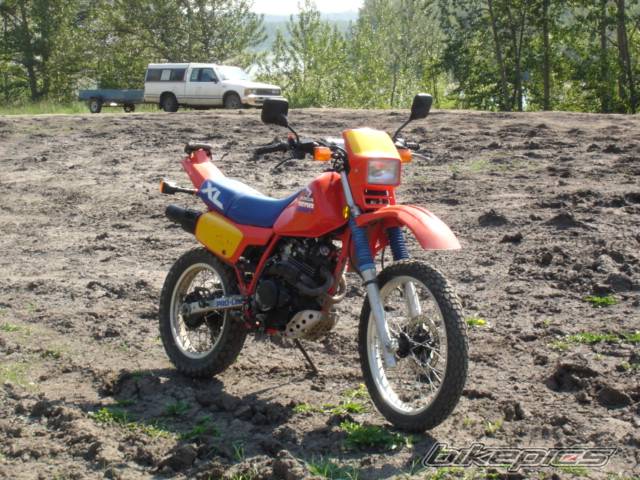 Photo 532709