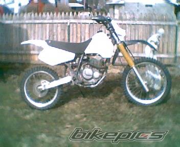 Bike Photo 532734