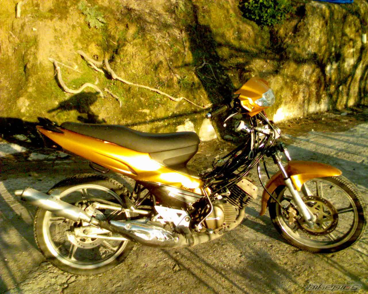 Bike Photo 532783