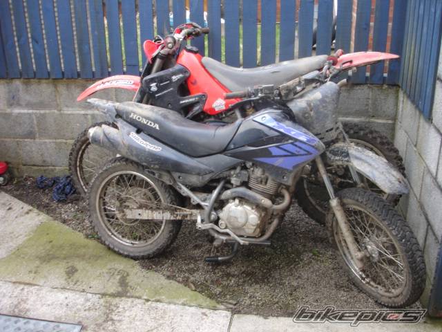 Bike Photo 532845