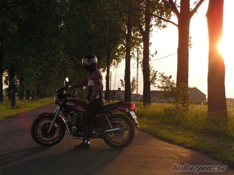Bike Photo 533039
